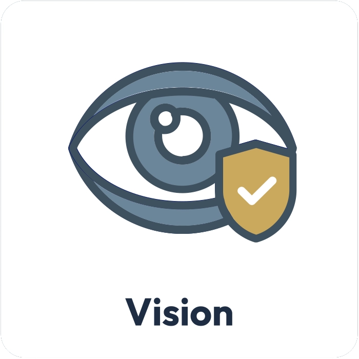 Vision Icon